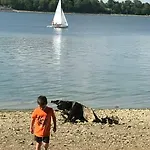 La Forestiere Apartment Walcourt