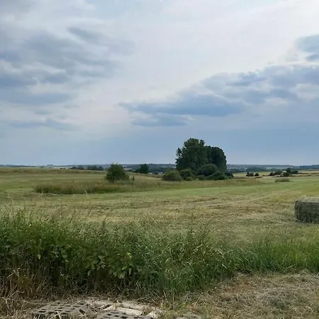 アパート La Forestiere Walcourt