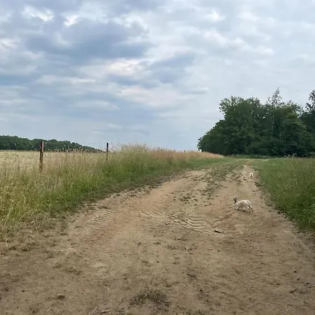 La Forestiere アパート *